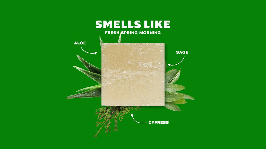 Soap bar with aloe, sage, and cypress ingredients displayed around it on green background.