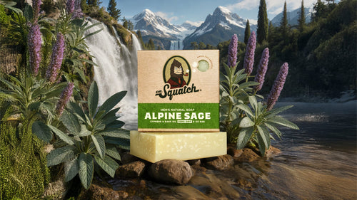 Dr. Squatch Alpine Sage bar soap