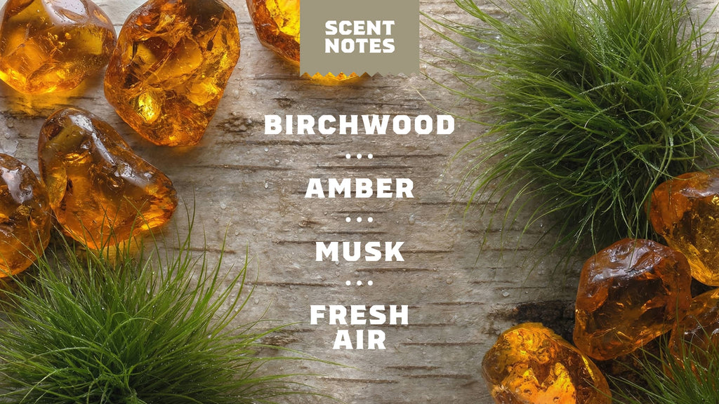 Scent notes graphic used on Dr. Squatch product pages