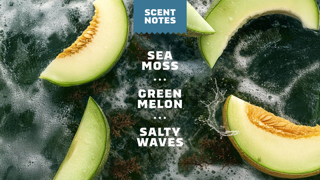 Scent notes graphic used on Dr. Squatch product pages