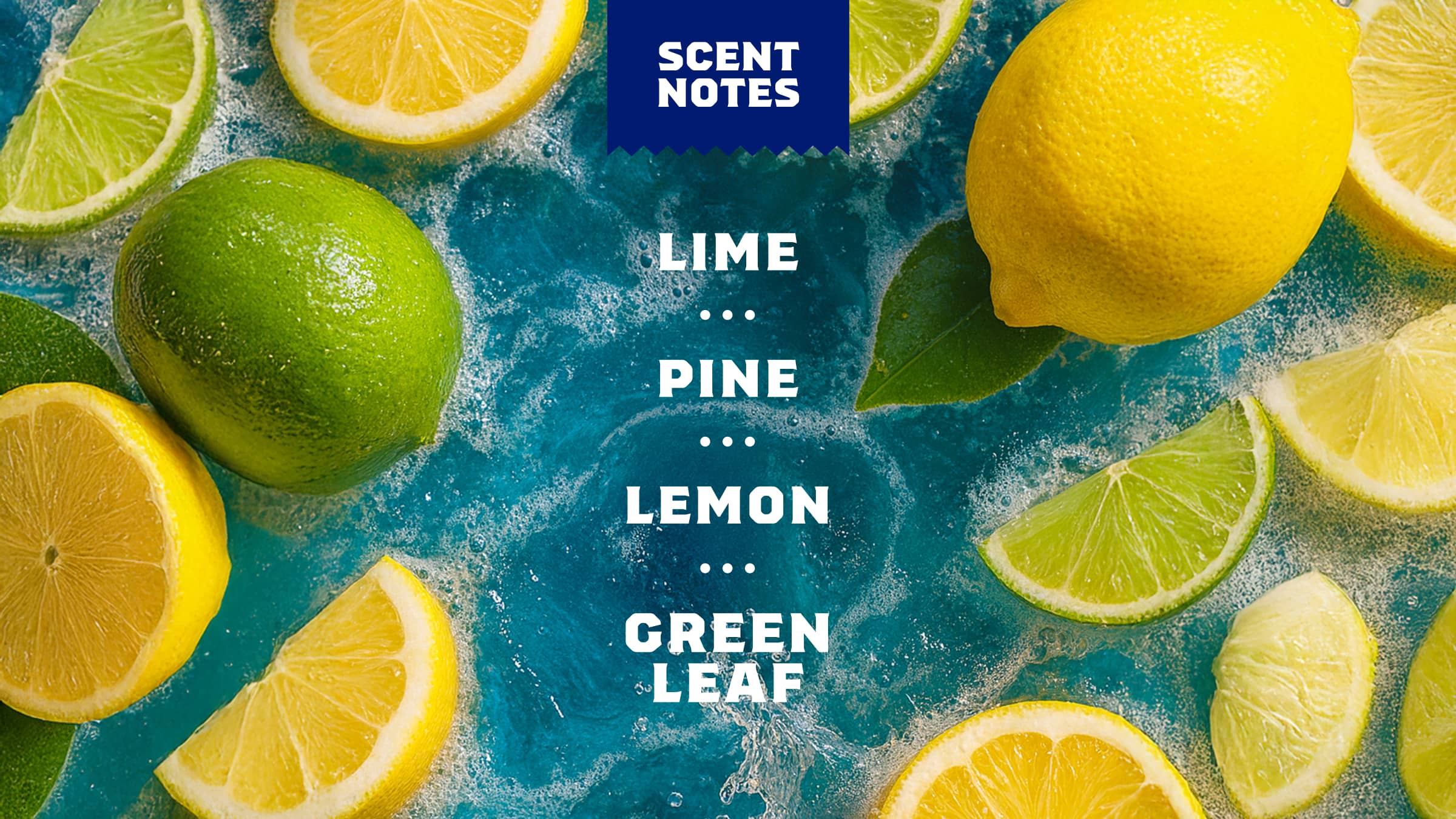Scent notes graphic for Dr. Squatch Deep Sea Goats Milk bar soap: Smooth & Fresh