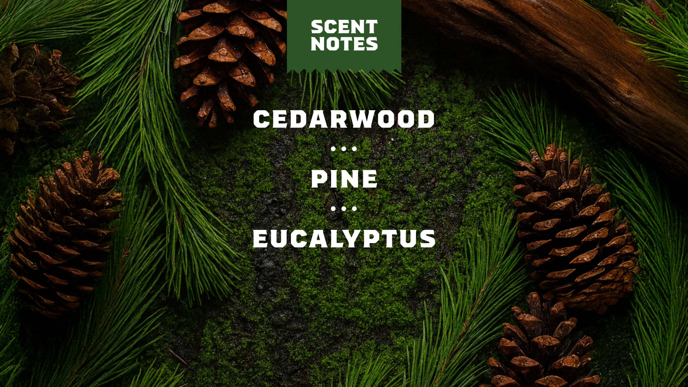 Scent notes graphic used on Dr. Squatch product pages