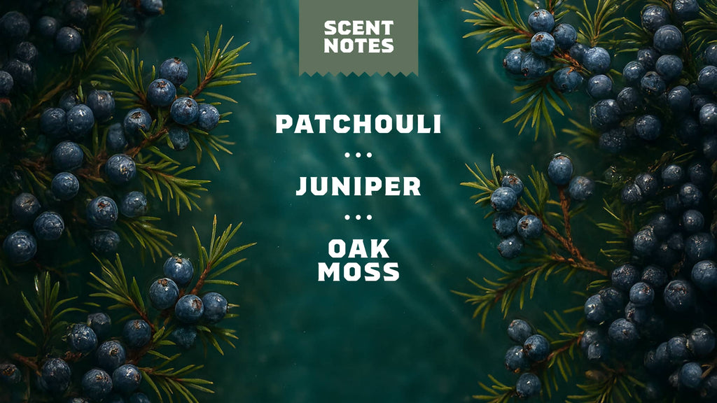 Scent notes graphic used on Dr. Squatch product pages