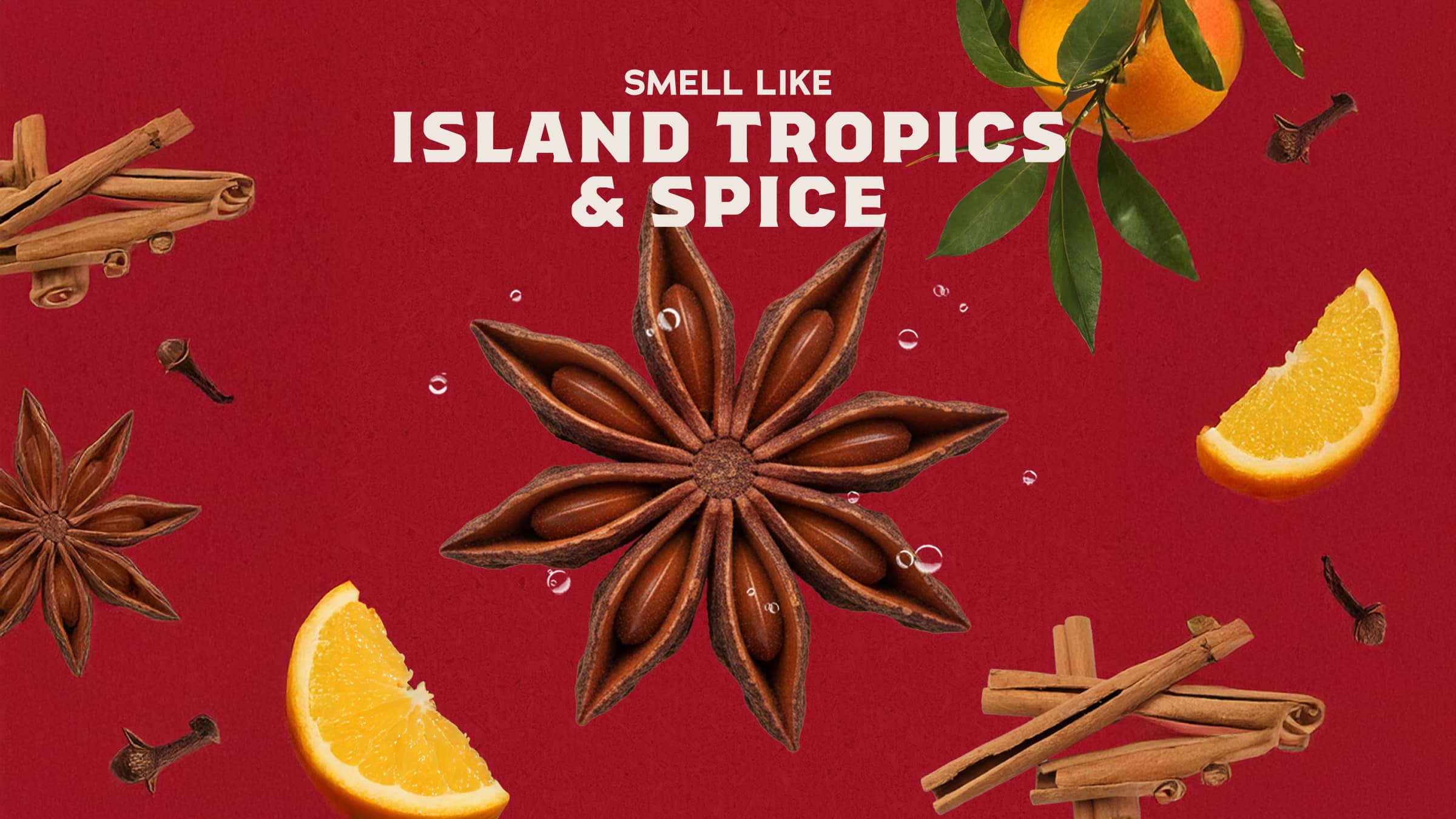 Island Tropics & Spice imagery representing the scent of Dr. Squatch Bay Rum bar soap