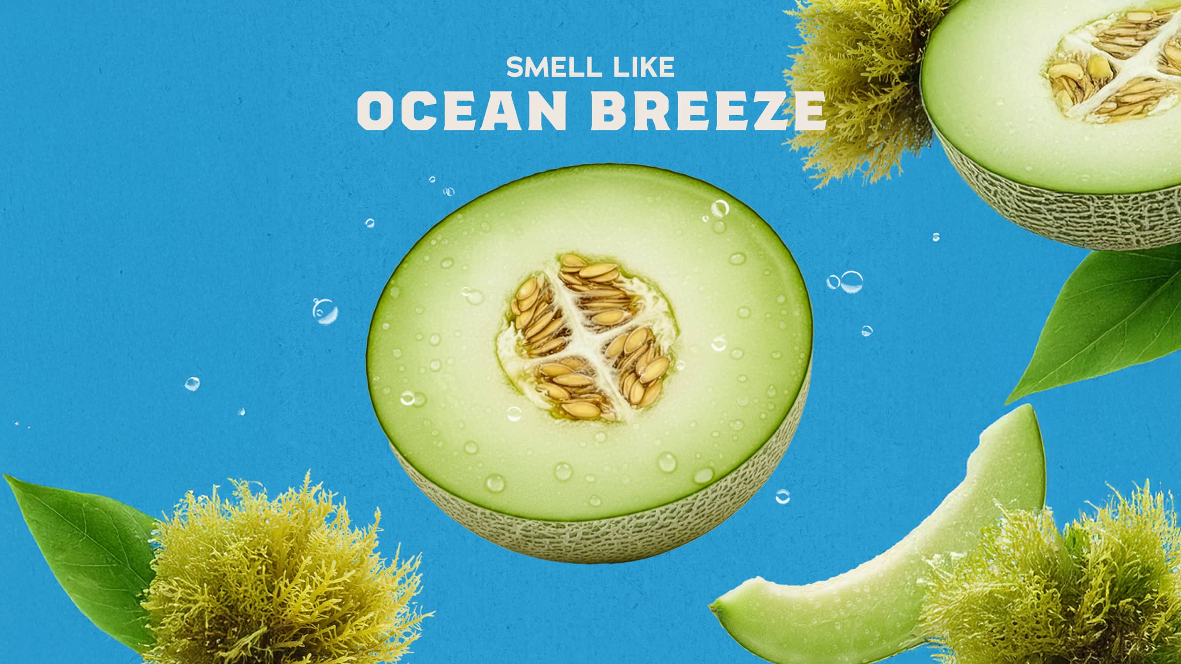 Scent inspiration imagery used on Dr. Squatch product pages