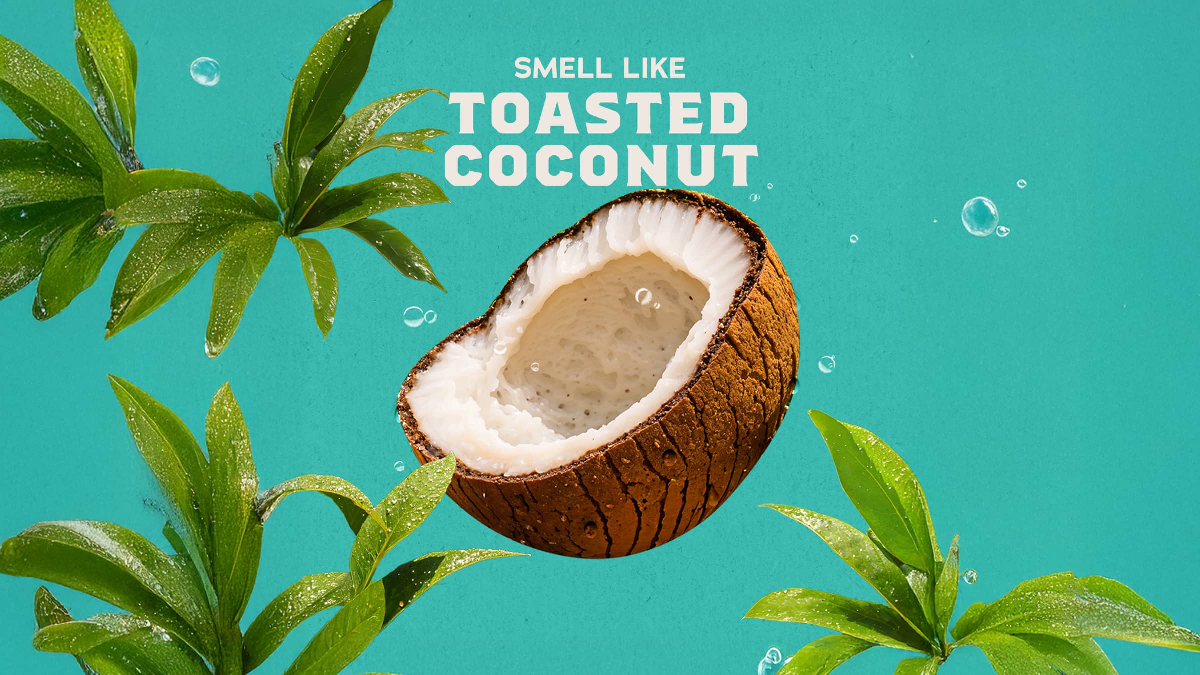 Scent inspiration imagery used on Dr. Squatch product pages