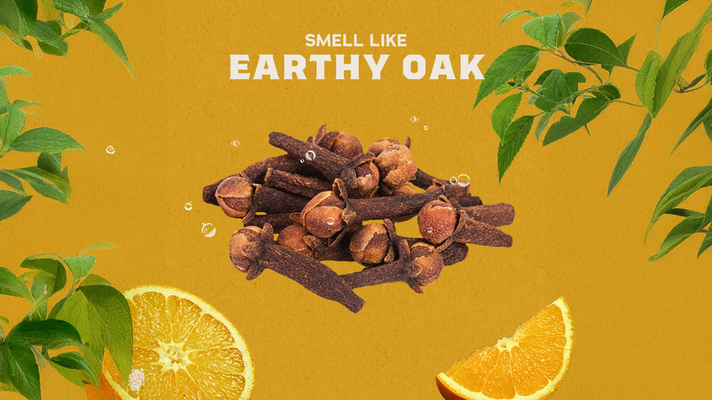 Earthy Oak imagery representing the scent of Dr. Squatch Gold Moss bar soap