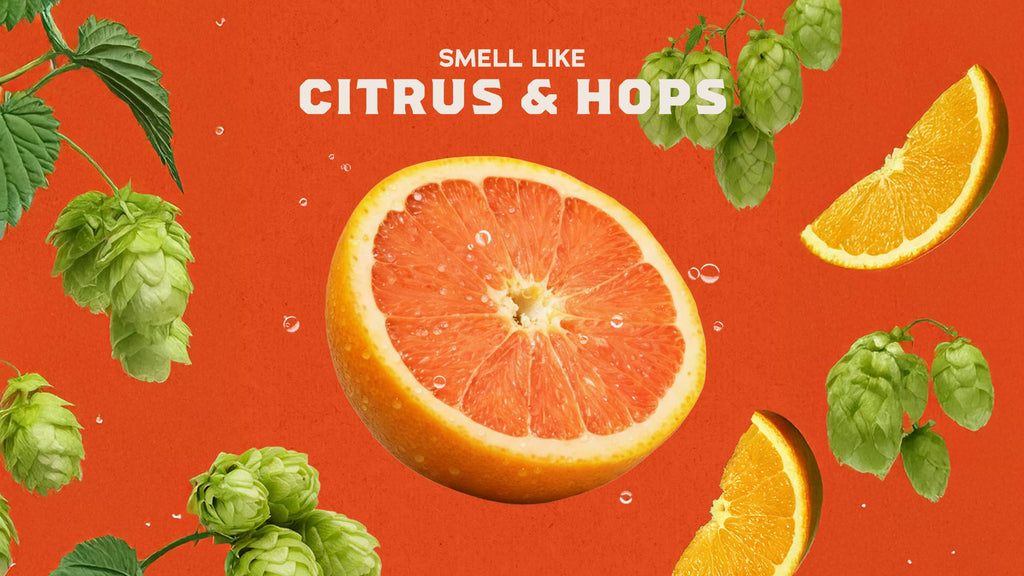 Citrus & Hops imagery representing the scent of Dr. Squatch Grapefruit IPA bar soap