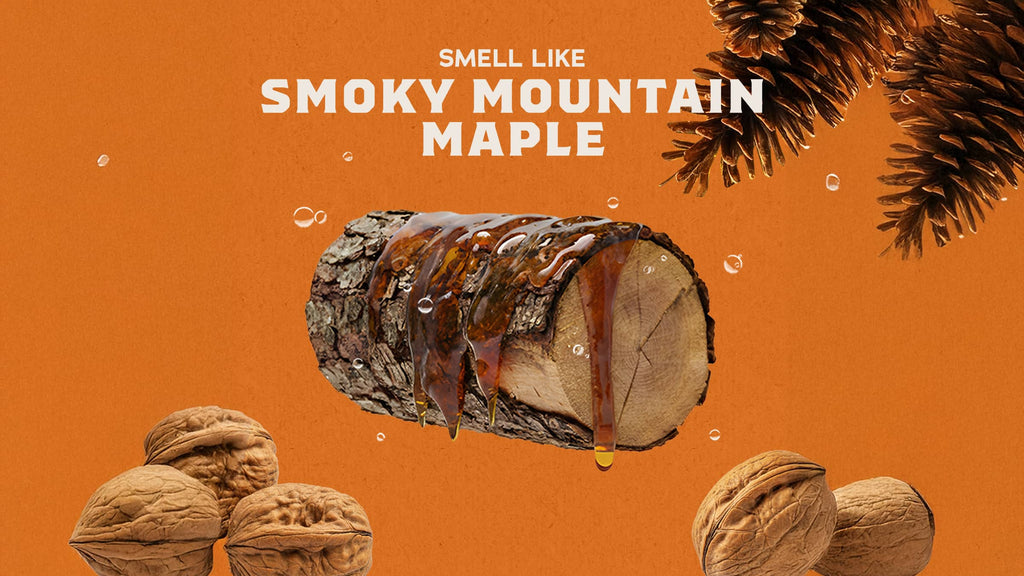 Scent inspiration imagery used on Dr. Squatch product pages