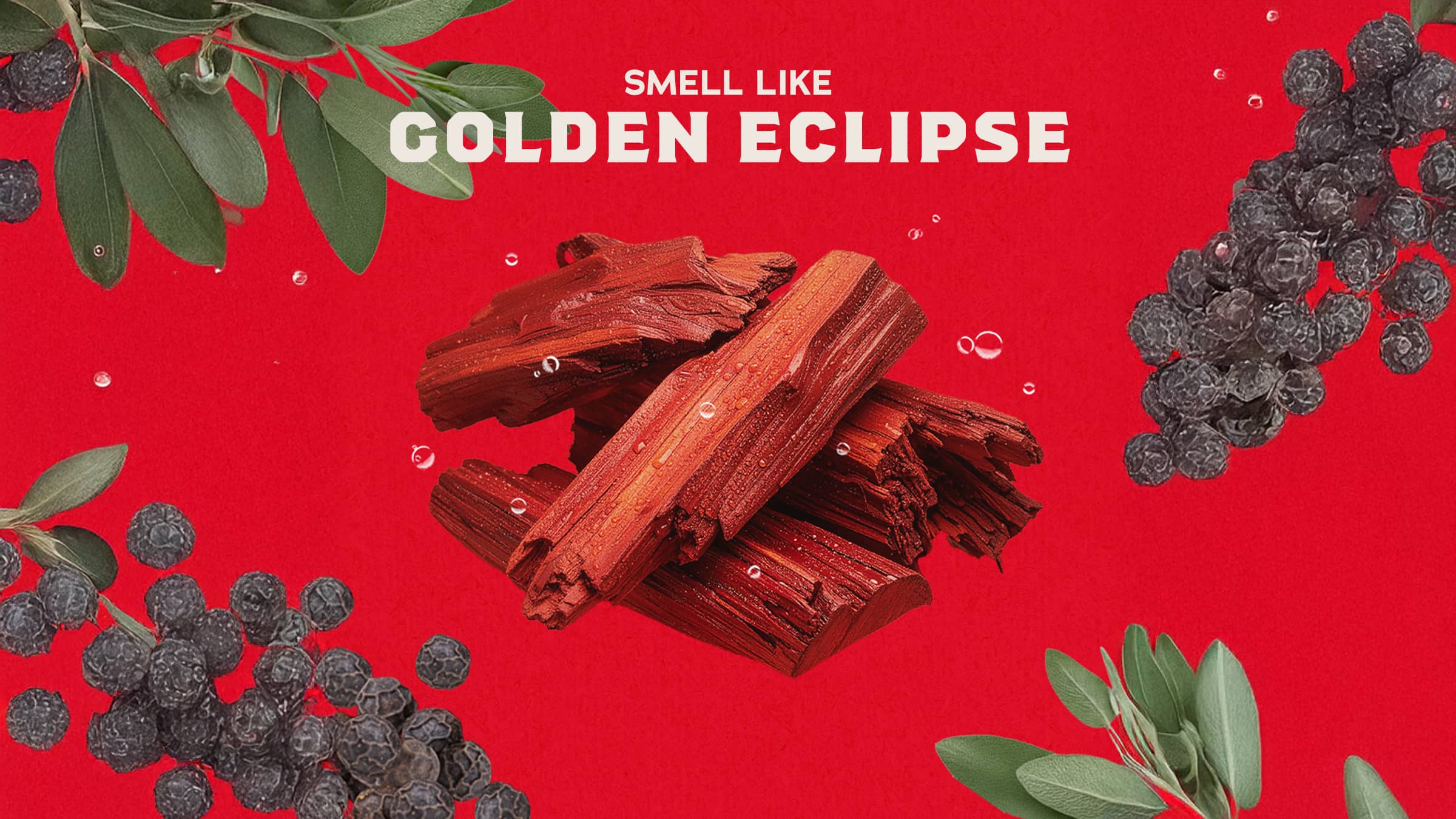 Scent inspiration imagery used on Dr. Squatch product pages