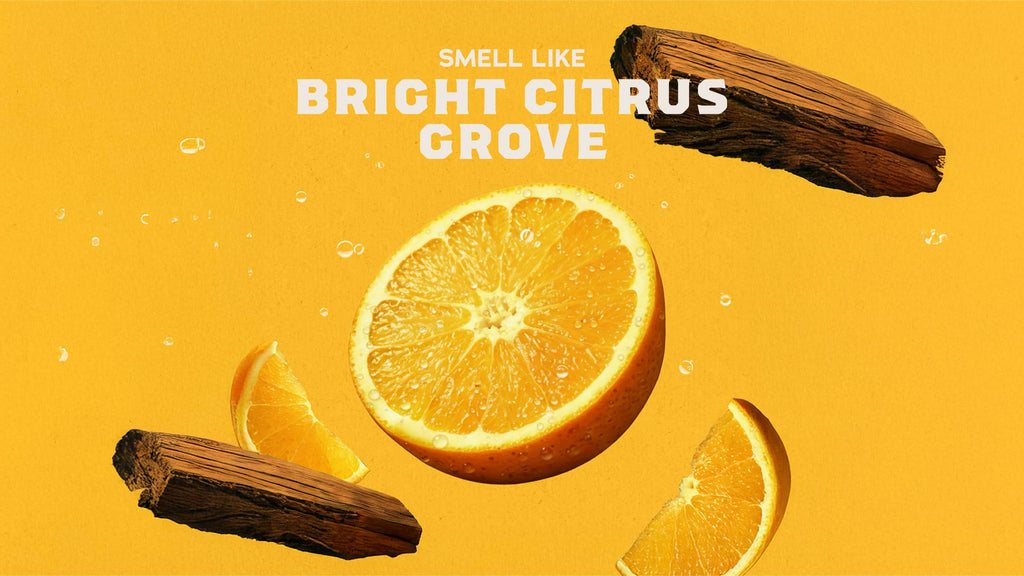 Scent inspiration imagery used on Dr. Squatch product pages