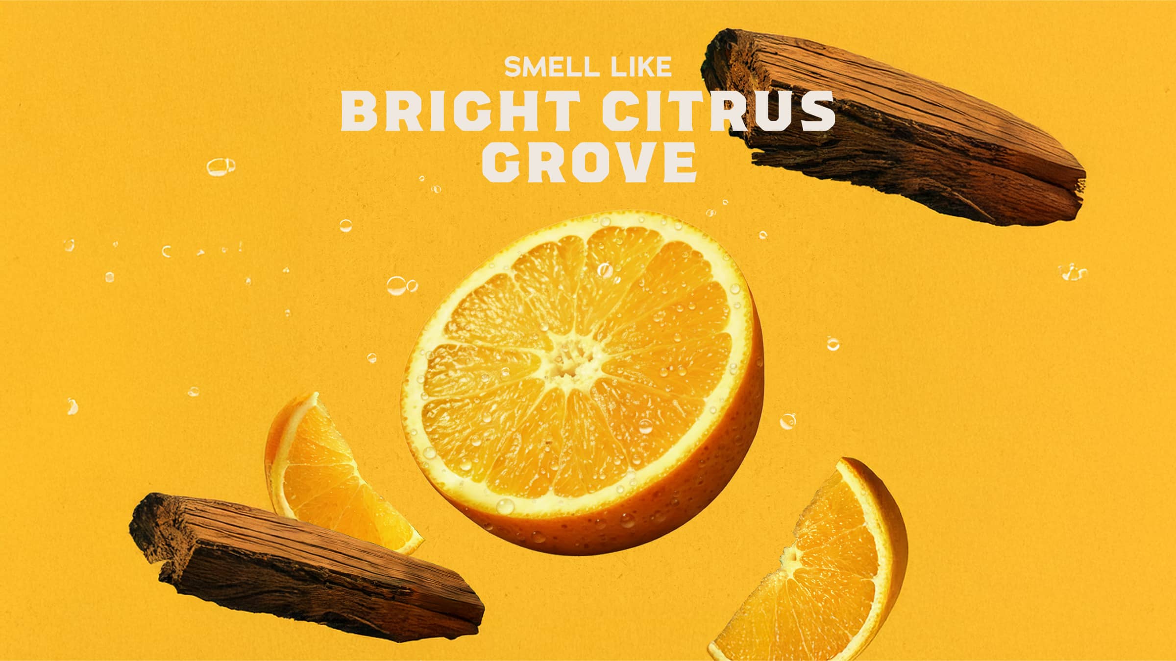 Scent inspiration imagery used on Dr. Squatch product pages